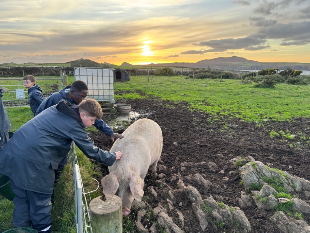 Two children pet a pig. The sun sets in the background