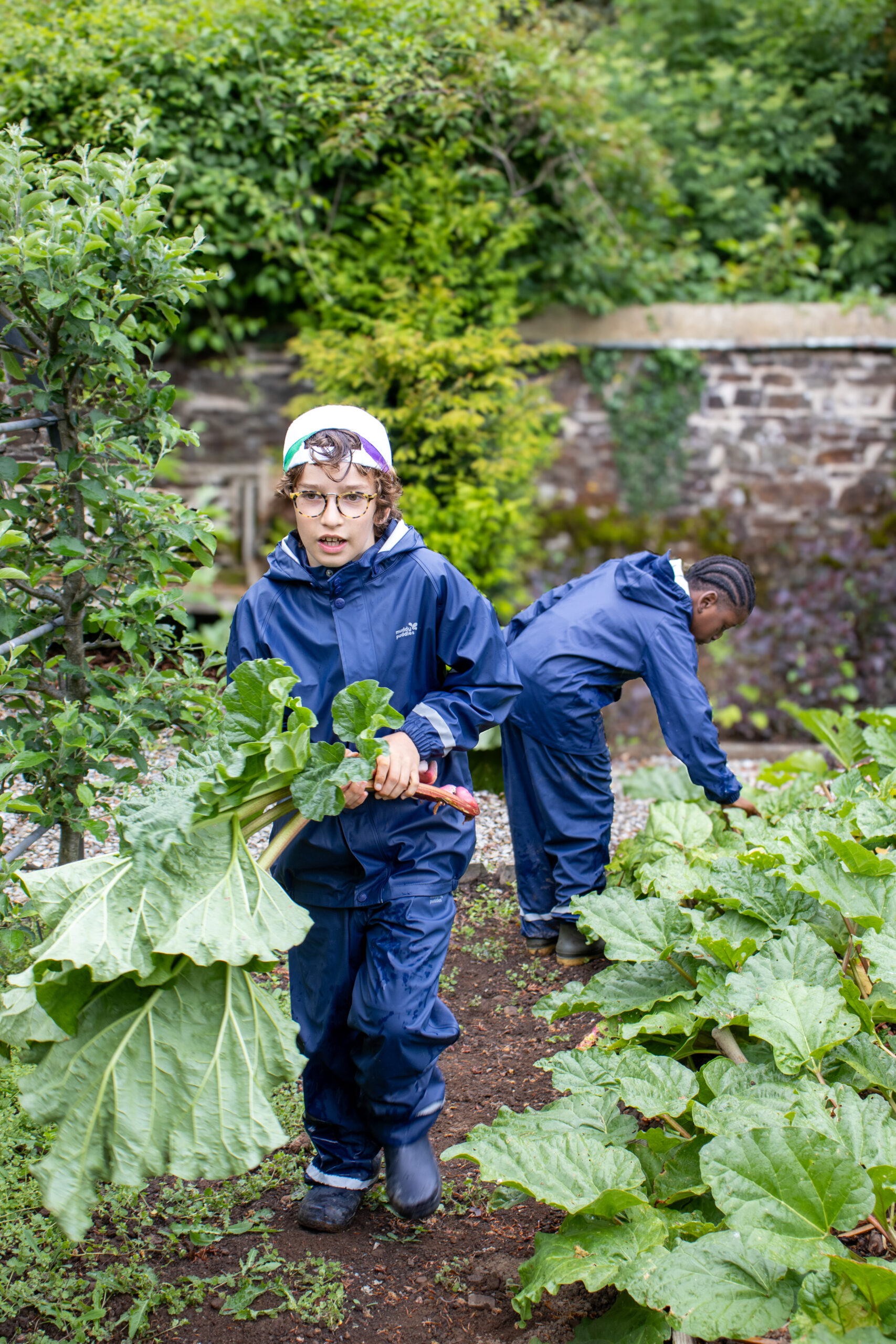 Two boys in blue overalls pick food